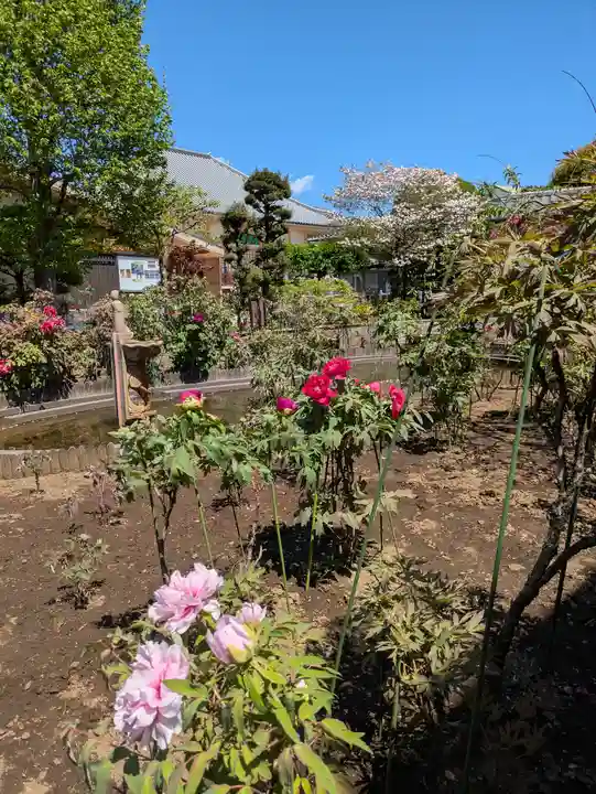 禅定院(東京都)