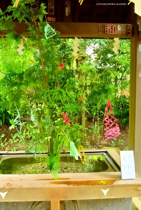 赤坂氷川神社(東京都)