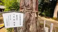 加茂神社(福井県)