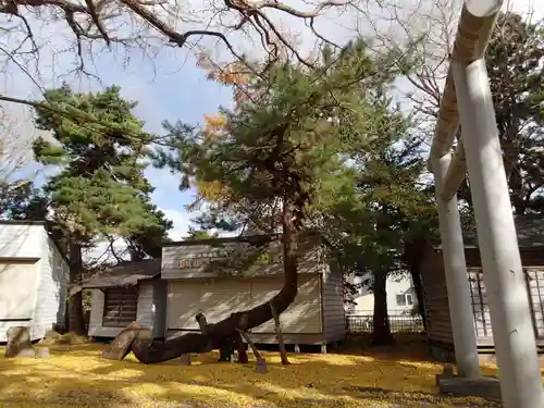 有川大神宮の鳥居