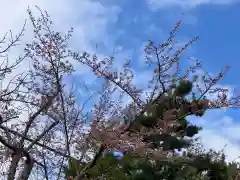 烈々布神社(北海道)