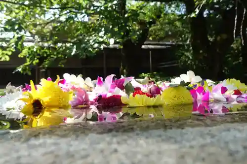 大谷本廟の自然