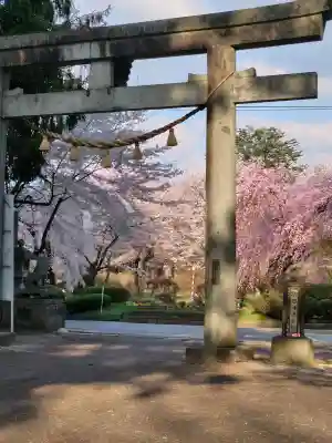 駒形神社の{uncategorized: "未分類", other: "その他", undefined: "問題あり", building: "その他建物", grave: "お墓", sacred_gate: "鳥居", guardian: "狛犬", statue: "像", buddha: "仏像", history: "歴史", nature: "自然", garden: "庭園", animal: "動物", pagoda: "塔", temizu: "手水舎", mountain_gate: "山門・神門", sanctuary: "本殿・本堂", subordinate: "末社・摂社", art: "芸術", scenery: "景色", jizo: "地蔵", ema: "絵馬", goshuin: "御朱印", omikuji: "おみくじ", items: "授与品その他", amulet: "お守り", goshuincho: "御朱印帳", eats: "食事", festival: "お祭り", votive_dance: "神楽", shichigosan: "七五三参", wedding: "結婚式", experience: "体験その他", initially: "初詣", around: "周辺", anti_infection: "感染症対策"}