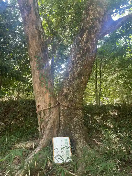 亀山八幡神社(三重県)