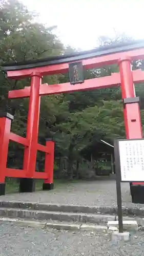 金櫻神社の鳥居