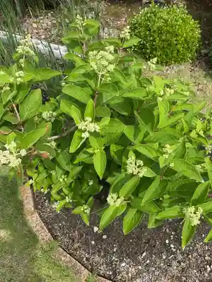 興禅寺(愛知県)