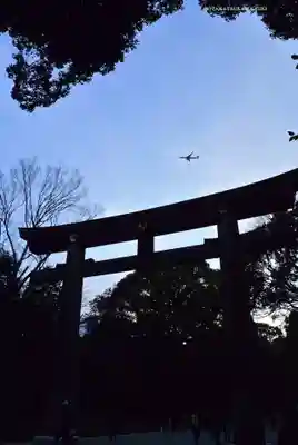 明治神宮(東京都)