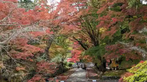 毘沙門堂門跡(京都府)