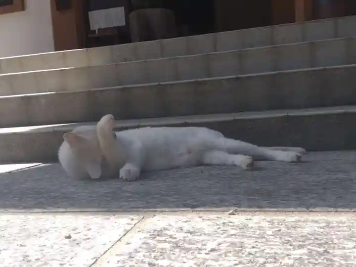 宝寿院(愛知県)