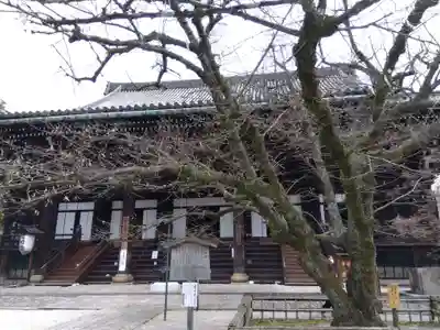 真正極楽寺(真如堂)(京都府)
