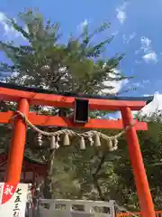 金櫻神社(山梨県)