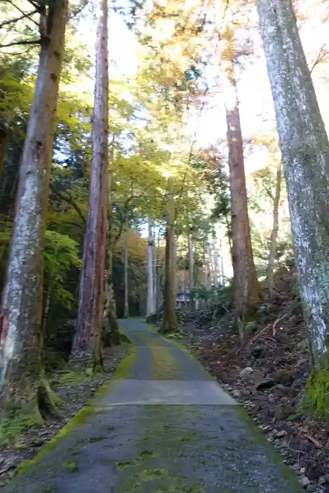 古知谷阿弥陀寺の周辺