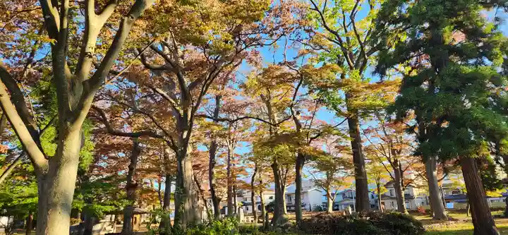 出羽国分寺薬師堂の周辺