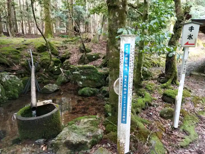 若狭彦神社(上社)の{uncategorized: "未分類", other: "その他", undefined: "問題あり", building: "その他建物", grave: "お墓", sacred_gate: "鳥居", guardian: "狛犬", statue: "像", buddha: "仏像", history: "歴史", nature: "自然", garden: "庭園", animal: "動物", pagoda: "塔", temizu: "手水舎", mountain_gate: "山門・神門", sanctuary: "本殿・本堂", subordinate: "末社・摂社", art: "芸術", scenery: "景色", jizo: "地蔵", ema: "絵馬", goshuin: "御朱印", omikuji: "おみくじ", items: "授与品その他", amulet: "お守り", goshuincho: "御朱印帳", eats: "食事", festival: "お祭り", votive_dance: "神楽", shichigosan: "七五三参", wedding: "結婚式", experience: "体験その他", initially: "初詣", around: "周辺", anti_infection: "感染症対策"}