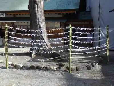 石清水八幡宮のおみくじ