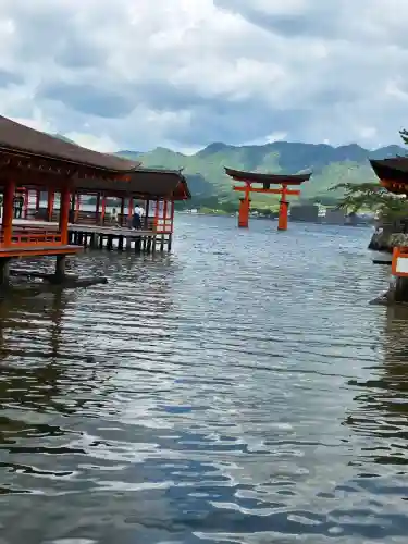 厳島神社の{uncategorized: "未分類", other: "その他", undefined: "問題あり", building: "その他建物", grave: "お墓", sacred_gate: "鳥居", guardian: "狛犬", statue: "像", buddha: "仏像", history: "歴史", nature: "自然", garden: "庭園", animal: "動物", pagoda: "塔", temizu: "手水舎", mountain_gate: "山門・神門", sanctuary: "本殿・本堂", subordinate: "末社・摂社", art: "芸術", scenery: "景色", jizo: "地蔵", ema: "絵馬", goshuin: "御朱印", omikuji: "おみくじ", items: "授与品その他", amulet: "お守り", goshuincho: "御朱印帳", eats: "食事", festival: "お祭り", votive_dance: "神楽", shichigosan: "七五三参", wedding: "結婚式", experience: "体験その他", initially: "初詣", around: "周辺", anti_infection: "感染症対策"}