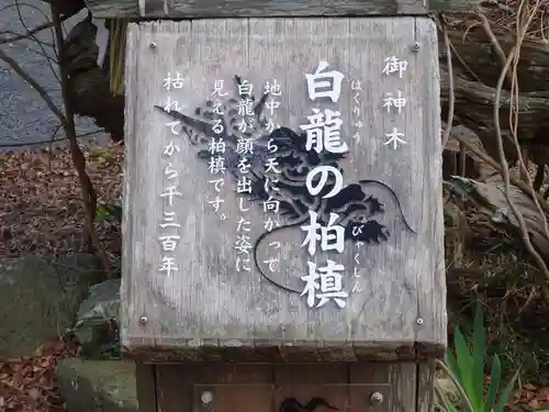 伊古奈比咩命神社の建物その他