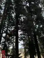 大宮温泉神社(栃木県)