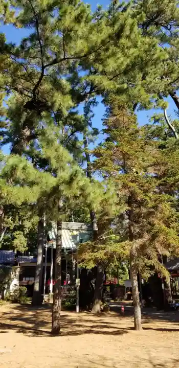 諏訪神社の自然