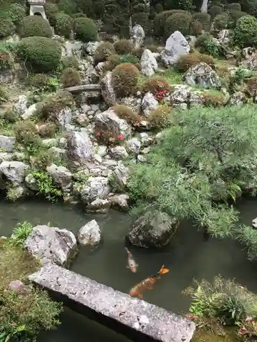 柳谷観音　楊谷寺の庭園