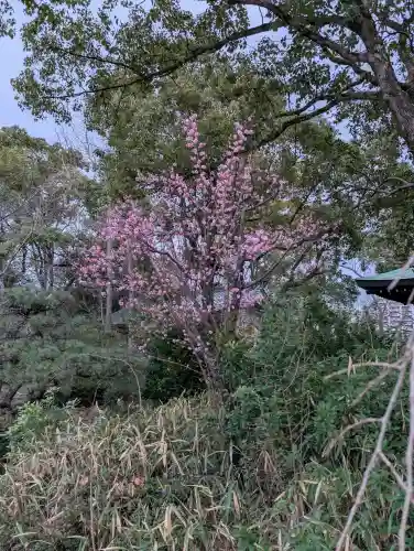 豊國神社の{uncategorized: "未分類", other: "その他", undefined: "問題あり", building: "その他建物", grave: "お墓", sacred_gate: "鳥居", guardian: "狛犬", statue: "像", buddha: "仏像", history: "歴史", nature: "自然", garden: "庭園", animal: "動物", pagoda: "塔", temizu: "手水舎", mountain_gate: "山門・神門", sanctuary: "本殿・本堂", subordinate: "末社・摂社", art: "芸術", scenery: "景色", jizo: "地蔵", ema: "絵馬", goshuin: "御朱印", omikuji: "おみくじ", items: "授与品その他", amulet: "お守り", goshuincho: "御朱印帳", eats: "食事", festival: "お祭り", votive_dance: "神楽", shichigosan: "七五三参", wedding: "結婚式", experience: "体験その他", initially: "初詣", around: "周辺", anti_infection: "感染症対策"}