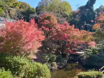 慈眼寺(大阪府)