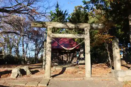 八幡神社の鳥居