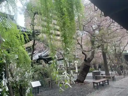 頂法寺（六角堂）の{uncategorized: "未分類", other: "その他", undefined: "問題あり", building: "その他建物", grave: "お墓", sacred_gate: "鳥居", guardian: "狛犬", statue: "像", buddha: "仏像", history: "歴史", nature: "自然", garden: "庭園", animal: "動物", pagoda: "塔", temizu: "手水舎", mountain_gate: "山門・神門", sanctuary: "本殿・本堂", subordinate: "末社・摂社", art: "芸術", scenery: "景色", jizo: "地蔵", ema: "絵馬", goshuin: "御朱印", omikuji: "おみくじ", items: "授与品その他", amulet: "お守り", goshuincho: "御朱印帳", eats: "食事", festival: "お祭り", votive_dance: "神楽", shichigosan: "七五三参", wedding: "結婚式", experience: "体験その他", initially: "初詣", around: "周辺", anti_infection: "感染症対策"}