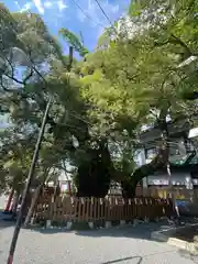 富知六所浅間神社の自然