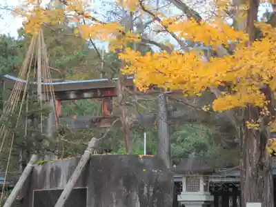 上杉神社(山形県)