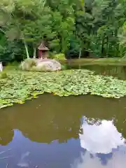 龍泉寺(大阪府)