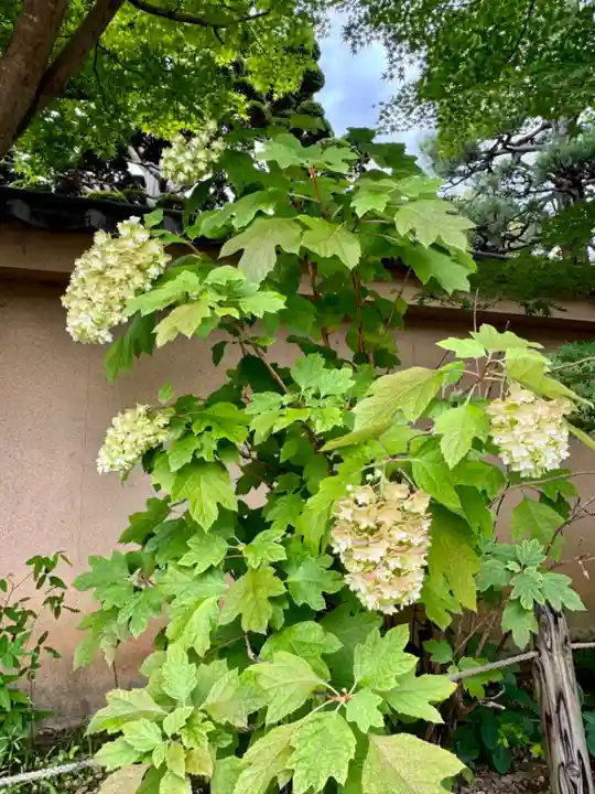 天得院(京都府)