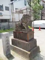 今戸神社の狛犬