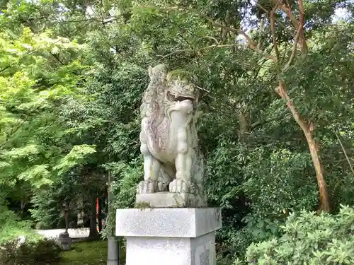 越中一宮 髙瀬神社の狛犬