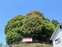 頭塔の{uncategorized: "未分類", other: "その他", undefined: "問題あり", building: "その他建物", grave: "お墓", sacred_gate: "鳥居", guardian: "狛犬", statue: "像", buddha: "仏像", history: "歴史", nature: "自然", garden: "庭園", animal: "動物", pagoda: "塔", temizu: "手水舎", mountain_gate: "山門・神門", sanctuary: "本殿・本堂", subordinate: "末社・摂社", art: "芸術", scenery: "景色", jizo: "地蔵", ema: "絵馬", goshuin: "御朱印", omikuji: "おみくじ", items: "授与品その他", amulet: "お守り", goshuincho: "御朱印帳", eats: "食事", festival: "お祭り", votive_dance: "神楽", shichigosan: "七五三参", wedding: "結婚式", experience: "体験その他", initially: "初詣", around: "周辺", anti_infection: "感染症対策"}