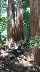 高千穂神社の自然