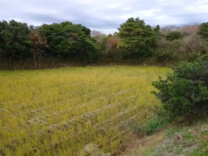 金比羅神社の周辺