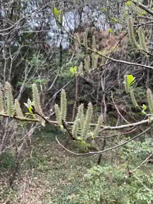 尾張冨士大宮浅間神社(愛知県)