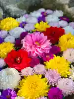 伊達神社の手水舎