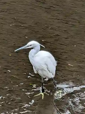 下高井戸八幡神社(東京都)
