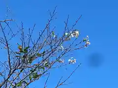 手力雄神社(岐阜県)