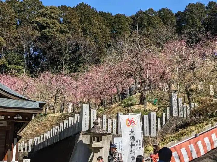大縣神社の{uncategorized: "未分類", other: "その他", undefined: "問題あり", building: "その他建物", grave: "お墓", sacred_gate: "鳥居", guardian: "狛犬", statue: "像", buddha: "仏像", history: "歴史", nature: "自然", garden: "庭園", animal: "動物", pagoda: "塔", temizu: "手水舎", mountain_gate: "山門・神門", sanctuary: "本殿・本堂", subordinate: "末社・摂社", art: "芸術", scenery: "景色", jizo: "地蔵", ema: "絵馬", goshuin: "御朱印", omikuji: "おみくじ", items: "授与品その他", amulet: "お守り", goshuincho: "御朱印帳", eats: "食事", festival: "お祭り", votive_dance: "神楽", shichigosan: "七五三参", wedding: "結婚式", experience: "体験その他", initially: "初詣", around: "周辺", anti_infection: "感染症対策"}