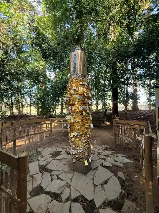 下野 星宮神社(栃木県)