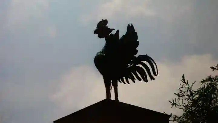 慈照寺(慈照禅寺・銀閣寺)の狛犬