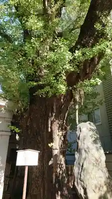 品川寺のその他建物