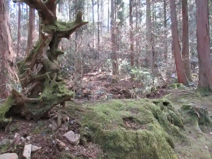 御岩神社の自然