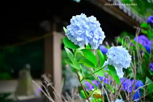篠原八幡神社(神奈川県)
