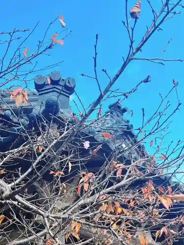 大田井山 極楽寺の自然