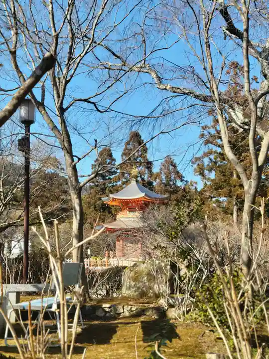 正法寺(京都府)