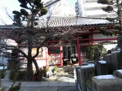 真光院の本殿・本堂